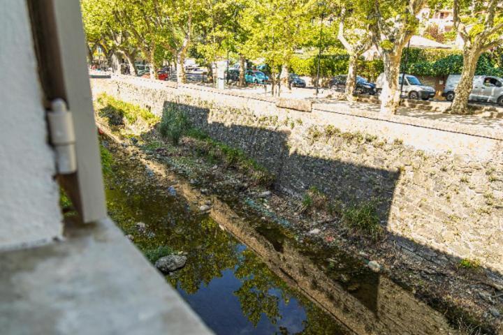 Le Palm Appartement Elegant & Design En Bord Riviere Collobrières Eksteriør billede